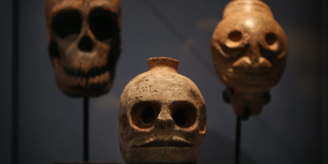 Skulls and skull-shaped vessels are shown in la "Death: a self-portrait" exhibition at the Wellcome Collection on 14 November 2012 in London.