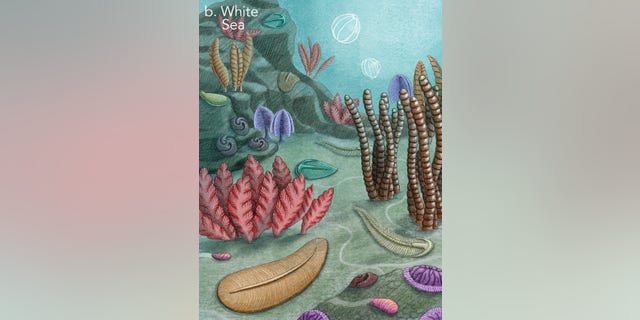 Virginia Tech researches found 80% of life was wiped out nearly 550 million years ago, which would make it the earliest known mass extinction on Earth.