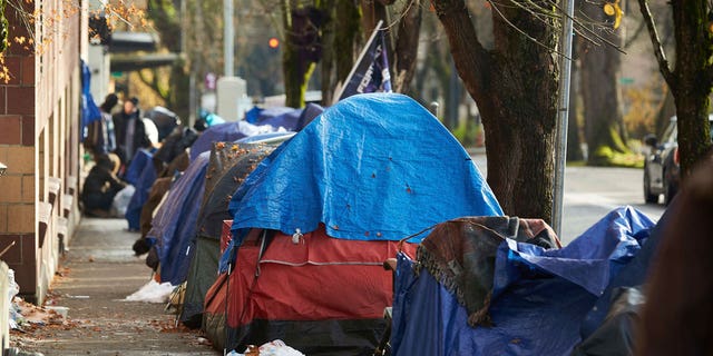 Tents line the sidewalk on SW Clay St in Portland, Oregon, on Dec. 9, 2020. City council members in Portland, Oregon, are set to vote on a resolution that would ban homeless street camping and move residents to specific, sanctioned camps.