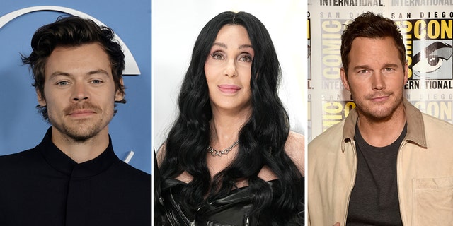 Harry Styles, Cher and Chris Pratt have all been outspoken on their political endorsements leading up to the midterm elections on Tuesday.