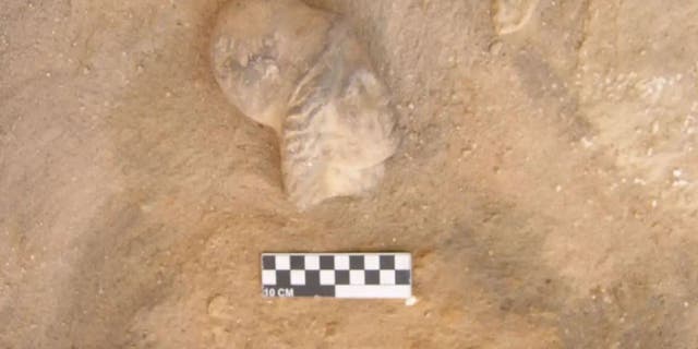 Artifact found at excavation site near Alexandria, Egypt.
