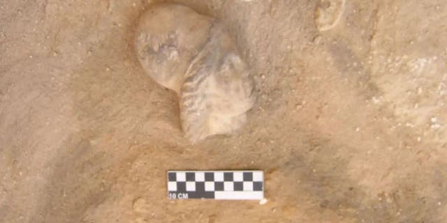 Artifact found at excavation site near Alexandria, Egypt.