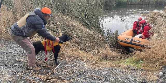 Crews used divers, drones and dogs to scour the shoreline and search underwater, the sheriff’s office said.