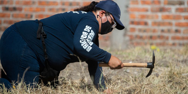 The dog was seen running through Mexico with a severed human hand in its mouth, leading to the discovery of 53 bags of human remains buried in the ground.