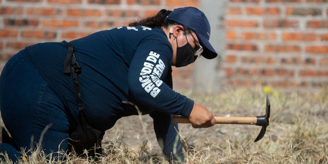 The dog was seen running through Mexico with a severed human hand in its mouth, leading to the discovery of 53 bags of human remains buried in the ground.