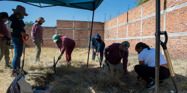 The discovery was made in late October during the El Cervantino festival in Guanajuato, a violent Mexican state under the influence of drug cartels.