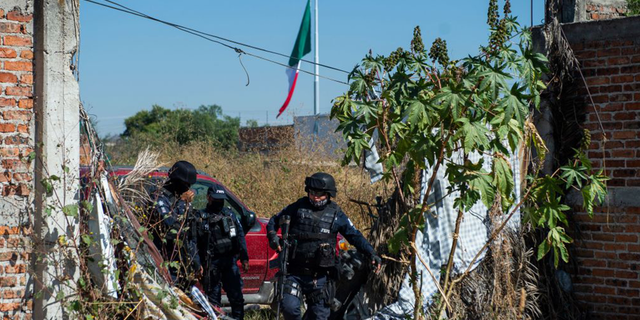 People rushed to the burial site in the city of Irapuato after seeing a dog carrying a hand.  They began to search for traces of their lost loved ones, as the celebration at the festival could still be heard nearby.