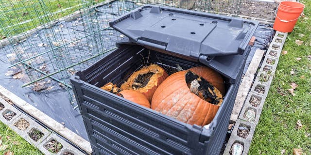Old pumpkins and jack-o'-lanterns can be composted on a larger scale by a professional organics service provider.