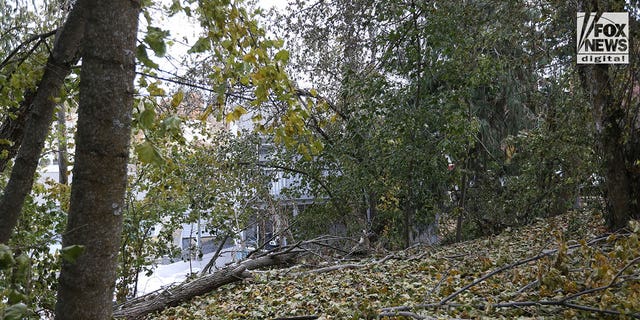 A view of the house in Moscow, Idaho, on Nov. 22, 2022, where four students were slain.