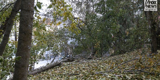 A view of the house in Moscow, Idaho, on Nov. 22, 2022, where four students were slain.