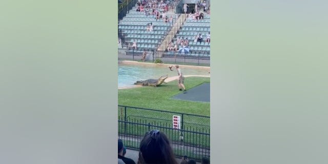 Robert Irwin worked to coerce the crocodile to get closer to him.