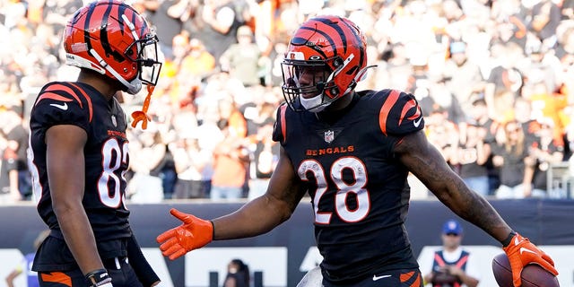Joe Mixon #28 of the Cincinnati Bengals celebrates his touchdown with Tyler Boyd #83 of the Cincinnati Bengals during the third quarter of a game against the Carolina Panthers at Paycor Stadium on November 6, 2022 in Cincinnati, Ohio.