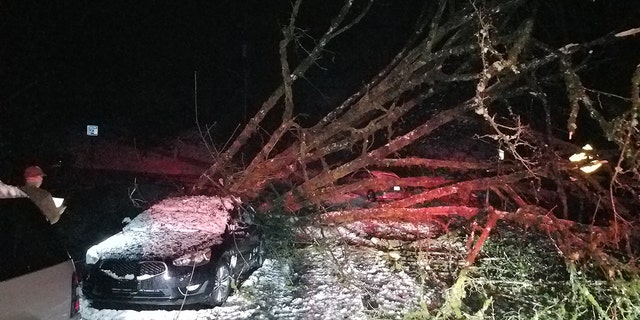 Police in Lake Forest, Washington, said multiple trees were downed in the city and residents lost power.