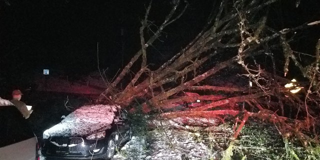 Police in Lake Forest, Washington, said multiple trees were downed in the city and residents lost power.