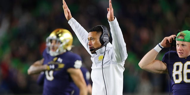 Head coach Marcus Freeman of the Notre Dame Fighting Irish celebrates a touchdown against the Clemson Tigers during the second half at Notre Dame Stadium on November 05, 2022 in South Bend, Indiana. 