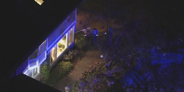 The intruder allegedly entered the Oakton, Virginia home with a "large landscaping rock."