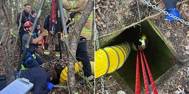 Rescuers said the boy was lifted safely out of the well.