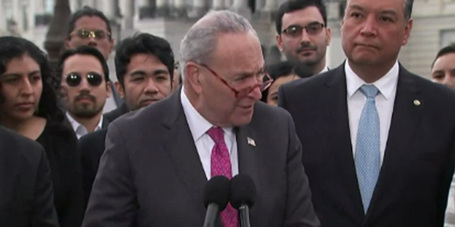Schumer speaking to the press