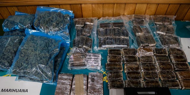 More than 50 tons of marijuana have been seized by Spanish authorities in Catalonia.  Pictured: Packages of marijuana from Operation Krolik, linked to drug trafficking, are seen at Civil Guard headquarters November 11.  2, 2022, in Valencia, Valencian Community, Spain.
