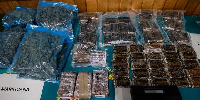 Over 50 tons of marijuana have been seized by Spanish authorities in Catalonia.  In the photo: Operation Krolik marijuana packets, linked to drug trafficking, are seen at the Guardia Civil headquarters on November 2, 2022, in Valencia, Valencian Community, Spain.