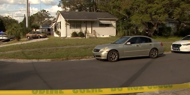 The scene where police found the body of 60-year-old Harriet Owens.