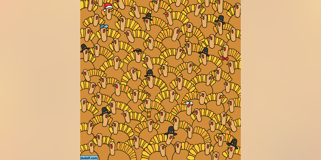 Can you spot the one pumpkin among the sea of Thanksgiving turkeys?