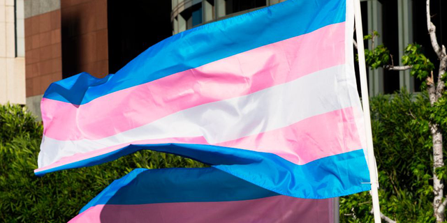 Bandera transgénero desplegada en un poste. 