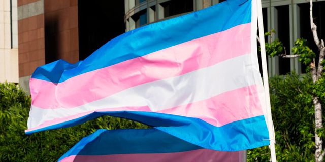 Bandera transgénero desplegada en un poste. 