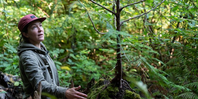 Lisa Ciecko, a Parks and Recreation plant ecologist, looks at a tree on Oct. 7, 2022, in Seattle, Washington.