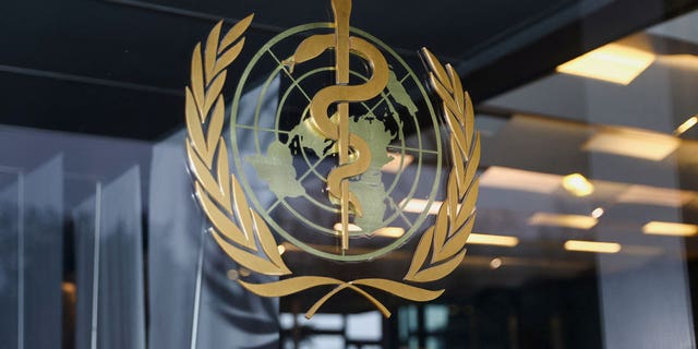 The World Health Organization maintains monkeypox's status a global health emergency.