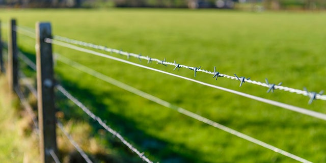 Glidden's barbed wire became widely popular — and continues to be used across the country today. 