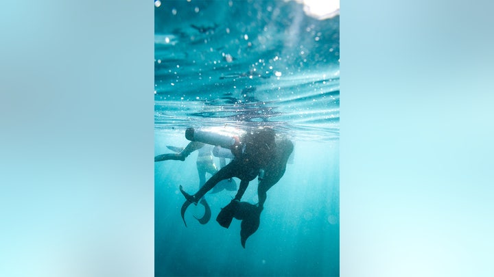 MERMAID-RESCUE-PHOTO-Photo-Credit-NATIV-Productions.jpg