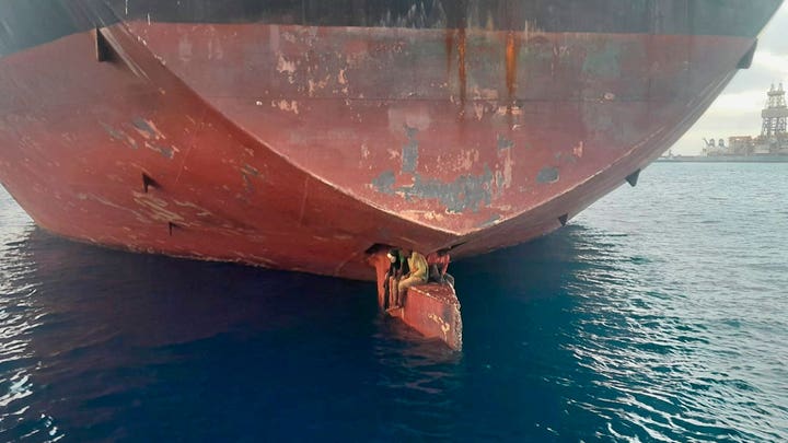 A photo of the stowaways on the rudder
