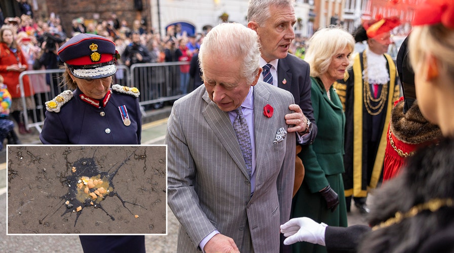 Protestor throws eggs at King Charles III
