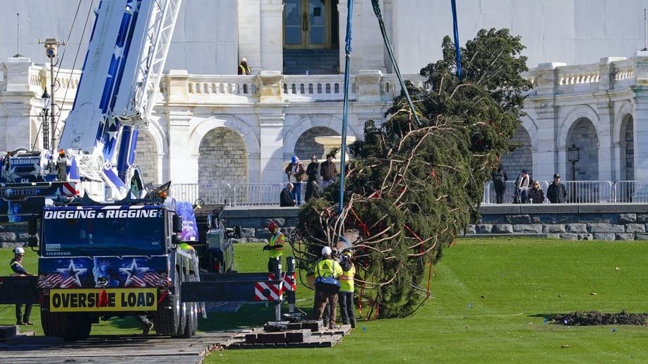 2022 Capitol Christmas Tree arrives