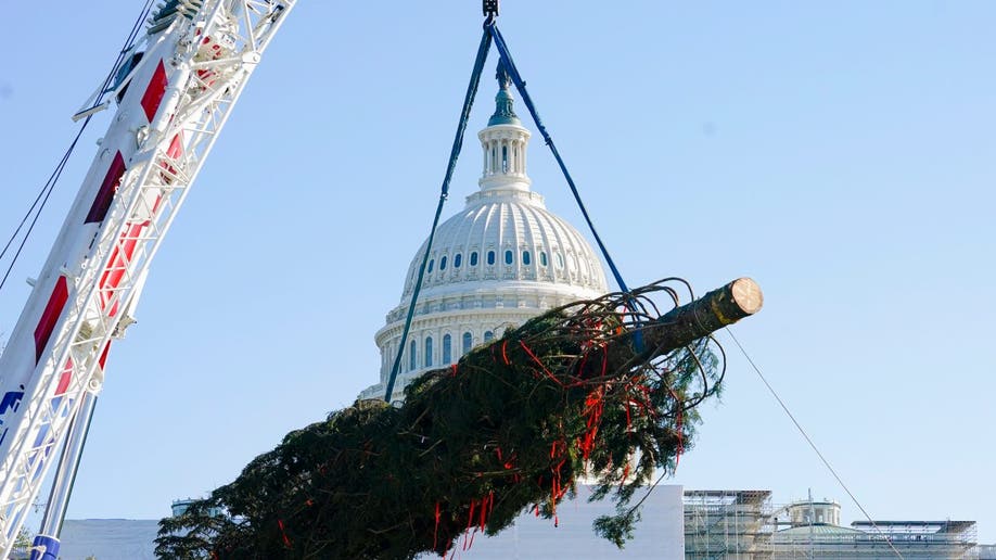 Capitol Christmas Tree being lifted from the truck