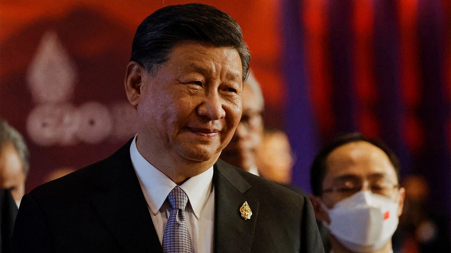 China's President Xi Jinping is seen at G-20