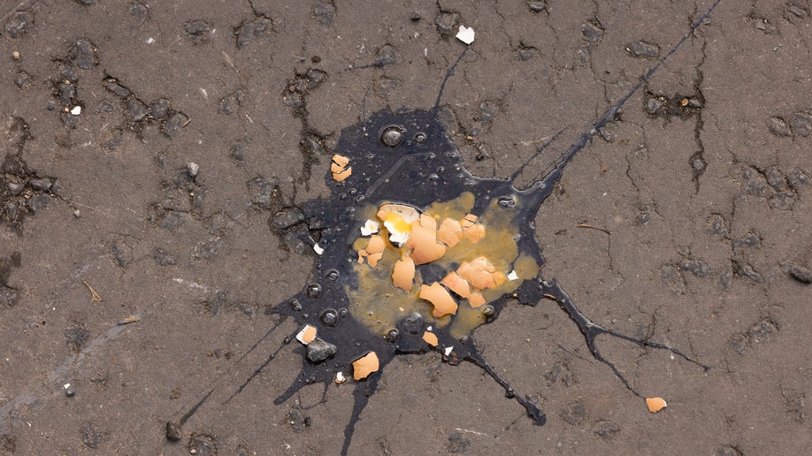 Egg shells on the ground