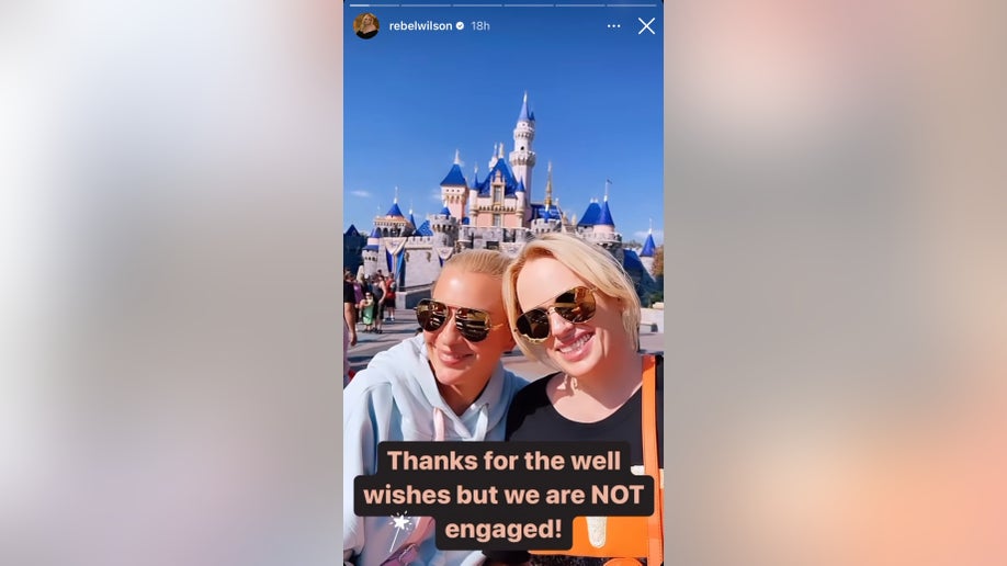 Rebel Wilson and her girlfriend Ramona Agruma smile in front of Cinderella's castle at Disney Land