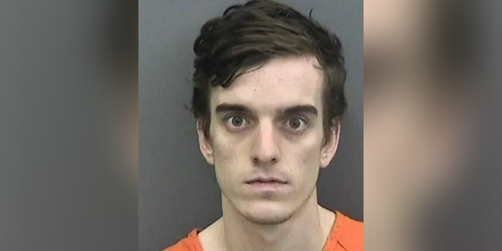 Florida man found not guilty by reason of insanity after killing father, nearly killing mother - Vimarsana News