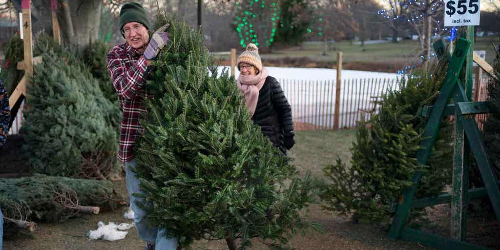 There are Now More  Prime Memberships than Christmas Trees, Household  Pets, Voters, Landlines, & Gun Owners - Fosdick Fulfillment