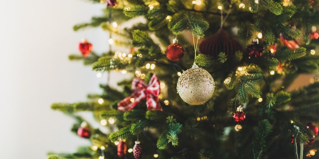 Massachusetts residents slam library Christmas tree uproar at meeting: 'Why do you hate Christians?' - Vimarsana News