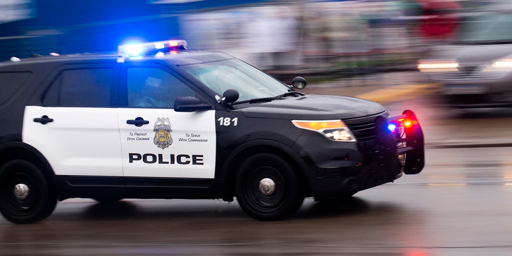 Minnesota dad saves 4 children taken during carjacking by chasing them in suspect's car - Vimarsana News