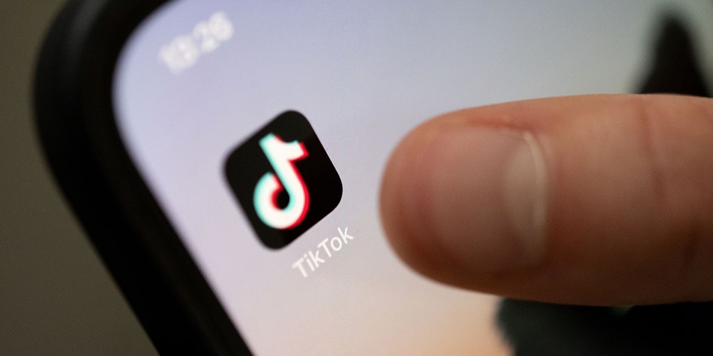 Bill to ban TikTok slammed as 'Patriot Act for the digital age' - Vimarsana News