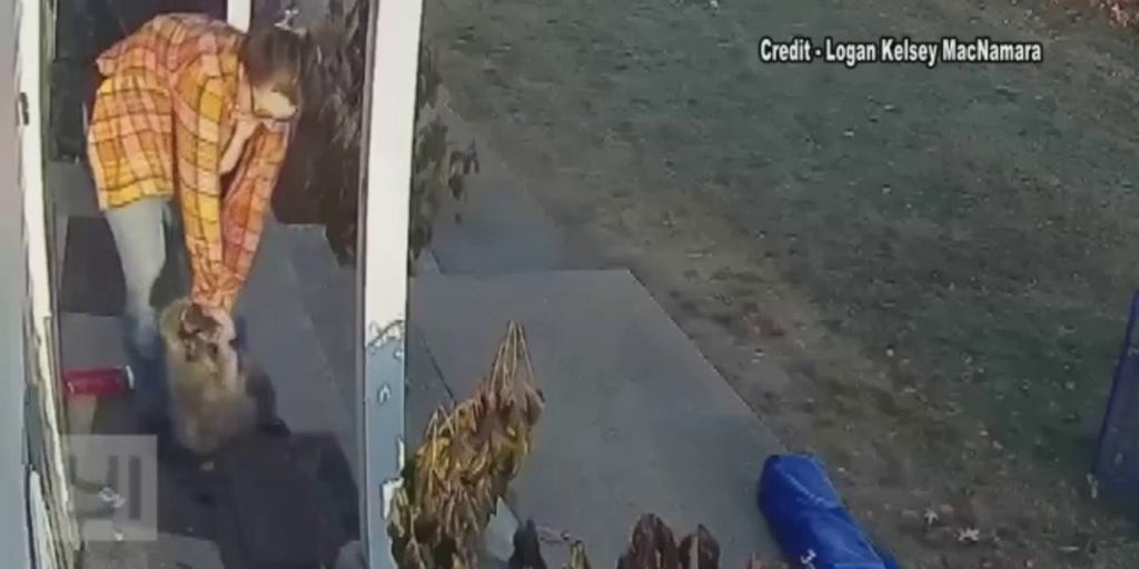 Heroic-mom-saves-daughter-from-rabid-rac