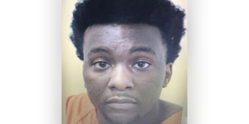 Georgia man sentenced to life in prison for shooting ex-girlfriend - Vimarsana News