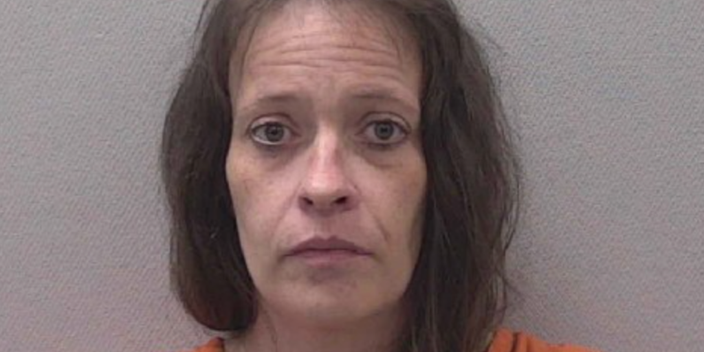 South Carolina mom arrested for allegedly stealing ornaments and cross from churches with child in tow - Vimarsana News