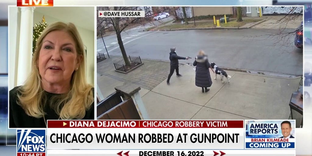 Chicago woman robbed at gunpoint vents frustration with crime crisis: 'We feel completely defenseless' - Vimarsana News