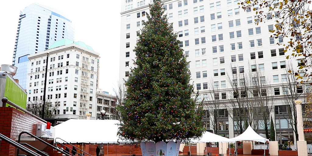 Portland business owners face down 'make it or break it' holidays as crime surges following pandemic, riots - Vimarsana News