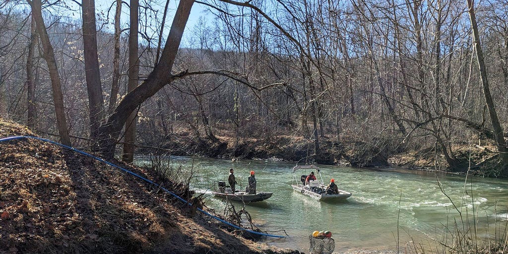 3 found dead in VA after trying to cross flooded river - Vimarsana News